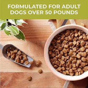 img 1 attached to 🐶 Nature's Recipe Grain Free Large Breed Dog Food, Chicken, Sweet Potato & Pumpkin Recipe, 24 lbs, Easy to Digest