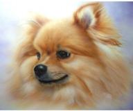 🔥 premium xiangzihu pomeranian full drill square diamond painting cross stitch: stunning mosaic wall sticker 11.8 x 15.8 inch logo