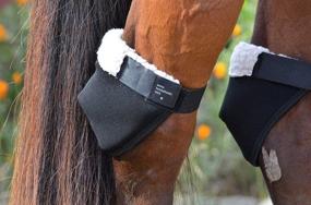 img 3 attached to 🐴 Ultimate Hock Protection with Intrepid International Hock Shield Protector