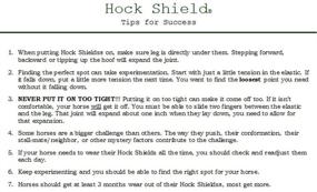 img 2 attached to 🐴 Ultimate Hock Protection with Intrepid International Hock Shield Protector