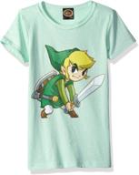 nintendo girls zelda link graphic logo