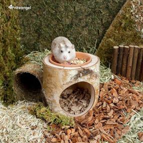 img 3 attached to 🏞️ Cozy Retreat for Dwarf Hamsters and Small Animals: Niteangel Tree Trunk Tunnel