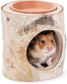 img 4 attached to 🏞️ Cozy Retreat for Dwarf Hamsters and Small Animals: Niteangel Tree Trunk Tunnel