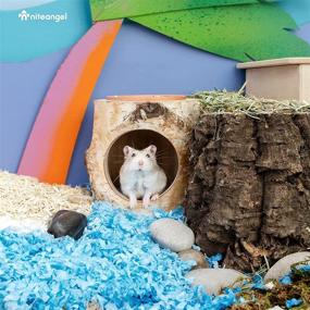 img 1 attached to 🏞️ Cozy Retreat for Dwarf Hamsters and Small Animals: Niteangel Tree Trunk Tunnel