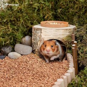 img 2 attached to 🏞️ Cozy Retreat for Dwarf Hamsters and Small Animals: Niteangel Tree Trunk Tunnel