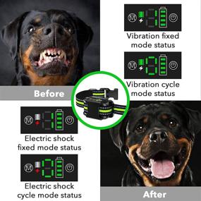 img 2 attached to FITCO Rechargeable Dog Bark Collar
