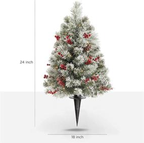 img 2 attached to 🎄 OasisCraft 24 Inch Outdoor Christmas Tree 2 Set, Pre-lit Mini Flocked Christmas Tree Artificial Pathway Xmas Tree with Red Berries, Pine Cones - Porch Holiday Decor with 50 LED Lights