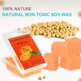 img 2 attached to Perkisboby Scented Wax Melts - Soy Wax Cubes with Natural Essential Oil for Wax Warmers - Assorted Fragrance Selection: Rose, Fig, Lavender, Vanilla, Jasmine, Lemon, Bergamot, Spring - 8 x 2.5 oz