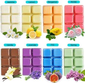 img 3 attached to Perkisboby Scented Wax Melts - Soy Wax Cubes with Natural Essential Oil for Wax Warmers - Assorted Fragrance Selection: Rose, Fig, Lavender, Vanilla, Jasmine, Lemon, Bergamot, Spring - 8 x 2.5 oz