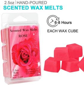 img 1 attached to Perkisboby Scented Wax Melts - Soy Wax Cubes with Natural Essential Oil for Wax Warmers - Assorted Fragrance Selection: Rose, Fig, Lavender, Vanilla, Jasmine, Lemon, Bergamot, Spring - 8 x 2.5 oz