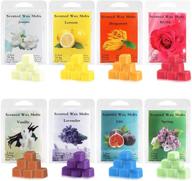 perkisboby scented wax melts - soy wax cubes with natural essential oil for wax warmers - assorted fragrance selection: rose, fig, lavender, vanilla, jasmine, lemon, bergamot, spring - 8 x 2.5 oz logo