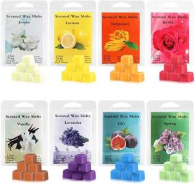 img 4 attached to Perkisboby Scented Wax Melts - Soy Wax Cubes with Natural Essential Oil for Wax Warmers - Assorted Fragrance Selection: Rose, Fig, Lavender, Vanilla, Jasmine, Lemon, Bergamot, Spring - 8 x 2.5 oz