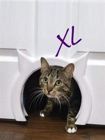 img 1 attached to 🐱 The XL Kitty Pass Large Cat Door: Concealed Litter Box Access for Interior Large Pets