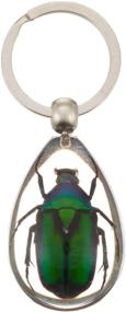 img 1 attached to 🪲 Exquisite REALBUG Tear Drop Clear Key Chain: Green Chafer Beetle Edition
