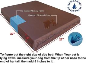 img 1 attached to 🐶 Dogbed4less Ultimate Memory Foam Dog Bed: Orthopedic Joint Relief, Waterproof Liner, Durable Nylon Cover - Perfect for Small to Extra Large Dogs. Bonus Second Pet Bed Case Included!