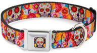 🐶 buckle-down dog collar with seatbelt buckle: sugar skull starburst white, adjustable sizes for small, medium, and large dogs логотип