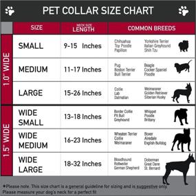 img 2 attached to 🐶 Buckle-Down Dog Collar with Seatbelt Buckle: Sugar Skull Starburst White, Adjustable Sizes for Small, Medium, and Large Dogs