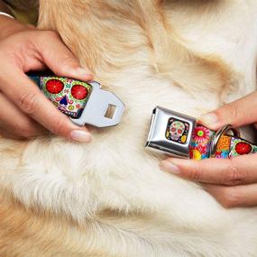 img 3 attached to 🐶 Buckle-Down Dog Collar with Seatbelt Buckle: Sugar Skull Starburst White, Adjustable Sizes for Small, Medium, and Large Dogs