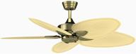 🌀 fanimation windpointe antique brass ceiling fan - 22" with natural palm narrow blades - pull-chain control - fp7500ab логотип