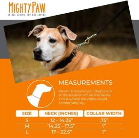 img 1 attached to 🐾 Mighty Paw Martingale Collar for Effective Dog Training and No-Pull Leash Walking