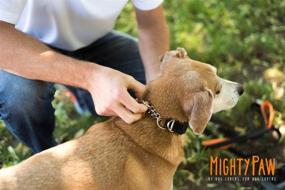 img 2 attached to 🐾 Mighty Paw Martingale Collar for Effective Dog Training and No-Pull Leash Walking