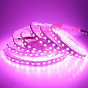 img 1 attached to LEDENET 16.4FT Super Bright LED Light Strip: RGBWW 5M Flexible Rope Light 24V with SMD 5050 360LEDs – Warm White and RGB Color Options