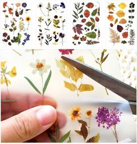 img 2 attached to 10 Garden-themed Rub On Transfer Stickers for Adult Scrapbooking, Journals, Sewing Handicrafts, Card Making, Diaries, Albums, DIY Art and Crafts