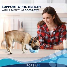 img 3 attached to Forza10 Active Oral Care Dog Food: Effective Prescription for Dental Health and Eliminating Bad Breath in Adult Dogs