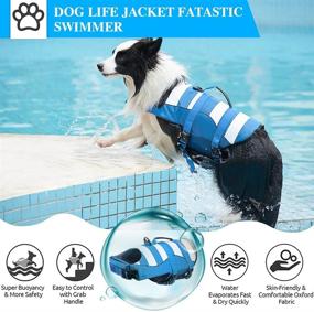 img 3 attached to Superior Buoyancy Dog Life Jacket: Ripstop Safety Vests for Swimming, Boating & Rescue with High Visibility and Rescue Handle - Sizes for Small, Medium & Large Dogs