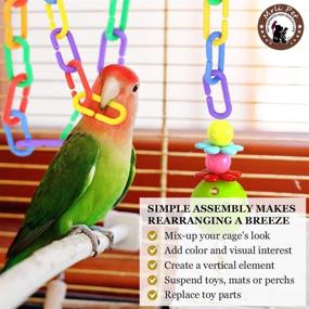 img 2 attached to 🐦 Pet Parrot Cage Toys with C-Clips Hooks, Chain Links, and C-Links - Ideal for Sugar Glider, Rat, Parrot, and Bird Toy Cage Parts, Learning Resource with Rainbow Link 'N' Learn Links