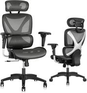 🪑 gabrylly ergonomic office chair: large mesh chair with lumbar support, adjustable headrest & armrests - high-back home desk chair with tilt function and swivel - perfect for computer executive use логотип