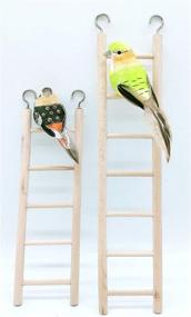 img 1 attached to 🐦 Wooden Ladder for Bird Parrot: Birdie Basics with 5 Step & 7 Step Options