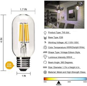 img 2 attached to Vintage Daylight Filament Bulb with Dimmable Equivalence