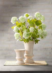 img 1 attached to 🏺 Sullivans Ceramic Vase - 5 x 6 - Distressed White: Elegant Home Decor Accent