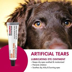 img 2 attached to 👁️ Veterinary-Approved Eye Lubricant Ointment by Akorn Artificial Tears, Soothes Dry & Irritated Eyes in Cats and Dogs, 3.5g Tube (59399-0162-35)