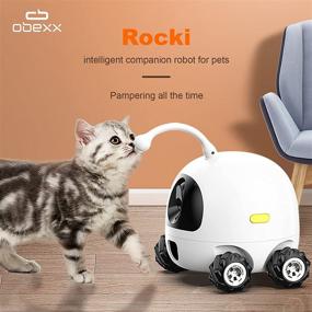 img 3 attached to obexx Smart Pet Camera: Dog Treat Dispenser with 2way Video/Audio & Full HD Night Vision