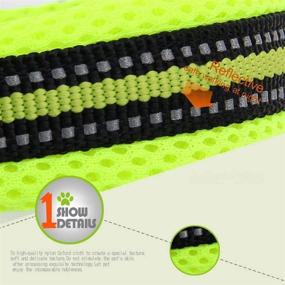 img 3 attached to 🐾 Creation Core Reflective Mesh Padded Dog Collar: Adjustable, Nylon, and Perfect for Outdoor Adventures!