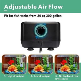 img 1 attached to 🐠 Hygger Adjustable 5W Aquarium Air Pump: 2-Port Oxygen Pump for 20-300 Gallon Fish Tank