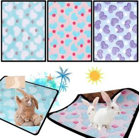 img 4 attached to 🐇 JCOLUSHI 3-Piece Hamster Bunny Mat Set: Cooling Comfort for Bunnies in Summer, Warmth in Autumn - 38x41cm