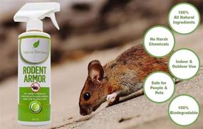 img 1 attached to 🐀 Premium Peppermint Mouse Spray by Natural Elements Rodent Armor - All Natural Protection for Vehicles, RVs, Tractors, Boats, and Equipment - Child and Pet Friendly - 2 Pack of 32 oz