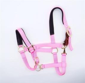 img 1 attached to 🐴 Full Horse Size QiK Sport Horse Halter - Padded Nylon, Breakaway Leather, Adjustable Chin and Throat Snap