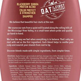 img 2 attached to Aveeno Blackberry Quinoa Protein Blend Sulfate-Free Shampoo: Best Color-Treated Hair Protection, Strengthening & Moisturizing, Paraben & Dye-Free, 12 Fl Oz