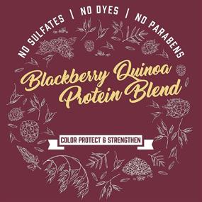 img 1 attached to Aveeno Blackberry Quinoa Protein Blend Sulfate-Free Shampoo: Best Color-Treated Hair Protection, Strengthening & Moisturizing, Paraben & Dye-Free, 12 Fl Oz