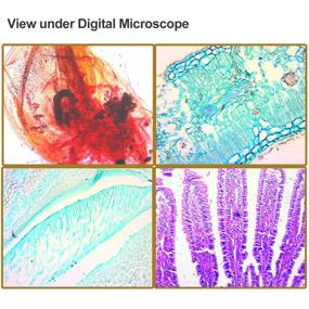 img 2 attached to 🔬 Proficient Microscope for Biological Homeschool Specimen Examination