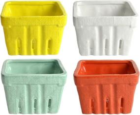 img 1 attached to 🧺 Multicolor Stoneware Baskets by Creative Co Op: Enhancing Food Service Equipment & Supplies