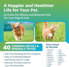 img 3 attached to 5Strands Pet Metal & Mineral Sensitivity Testing: Comprehensive 40-Item Health Test Kit for Cats and Dogs - Accurate Analysis in 5-7 Days!