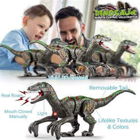 img 3 attached to 🦖 Happitry Dinosaurs Electronic Velociraptor: Rechargeable Fun for All Ages!