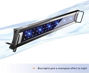 img 1 attached to 🐠 Aqueon LED OptiBright Light Fixture: Brighten Your Aquarium with Advanced Lighting Solution