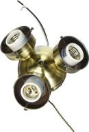 fanimation f301ab three-light turtle fitters collection, antique brass—enhanced for optimal discoverability логотип