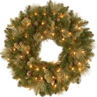 🎄 national tree company pre-lit artificial christmas wreath: green carolina pine with white lights, pine cones decoration, 24 inches - christmas collection logo